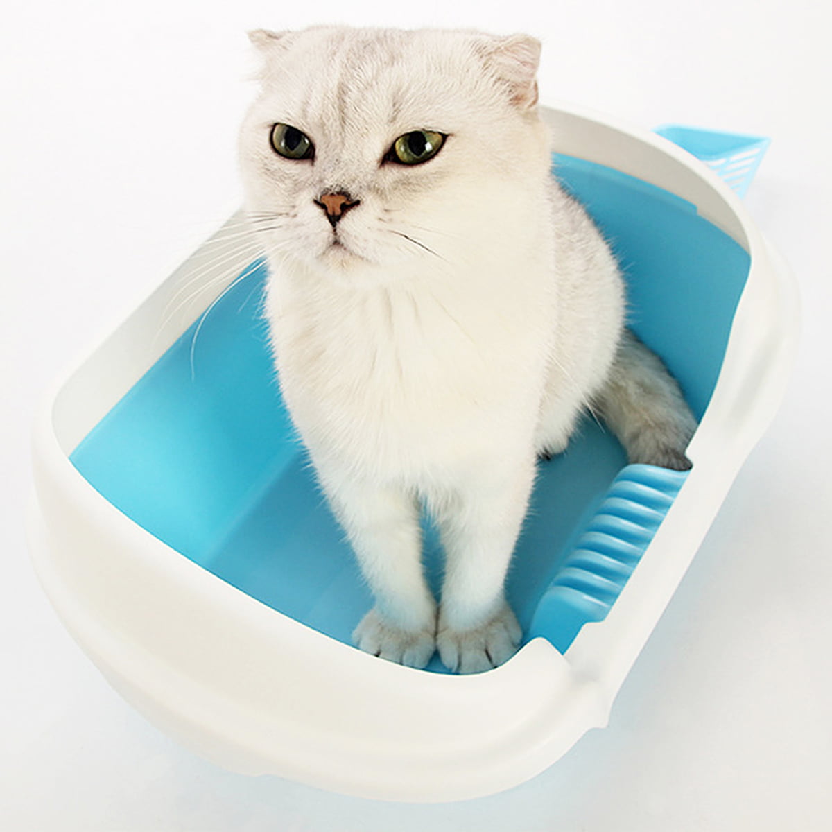 NUOLUX Litter Cat Box Toilet Basin Supplies Boxes Small Kitten Cleaning Open Large Kittenssifting Tray Self High Enclosed