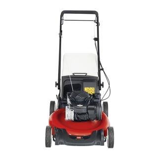 Toro Recycler 21 in. Briggs and Stratton Low Wheel RWD Gas Walk Behind Self Propelled Lawn Mower with Bagger 21352