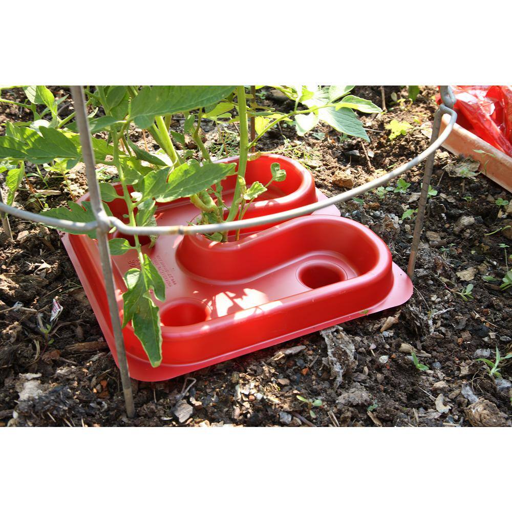 Red Tomato Tray (3-Pack) AU-16RCN