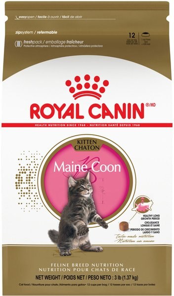 Royal Canin Feline Breed Nutrition Maine Coon Kitten Dry Cat Food， 3-lb bag