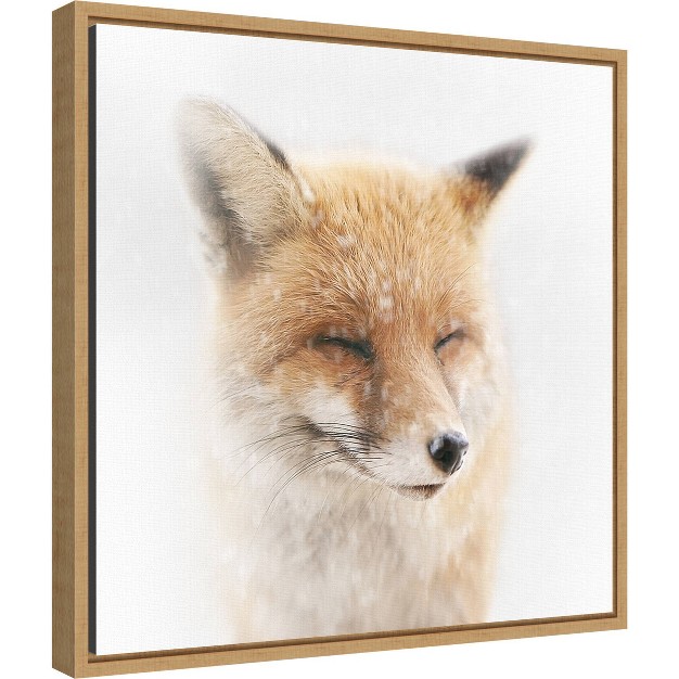 X 16 quot Satisfied Fox By Doris Reindl Framed Canvas Wall Art Amanti Art