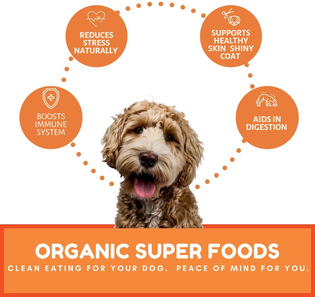 Dog Mamma’s Organic Pumpkin Snaps Dog Treats