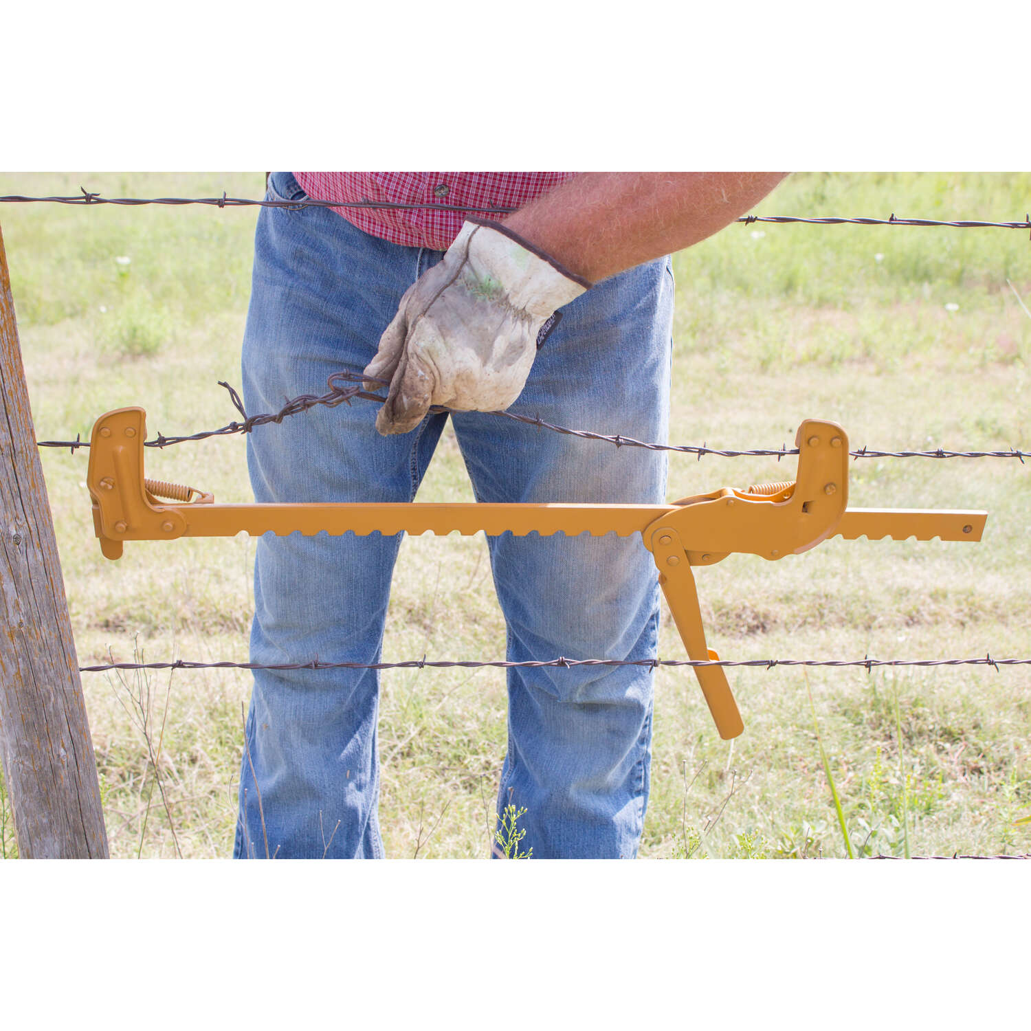 Goldenrod Fence Stretcher Yellow