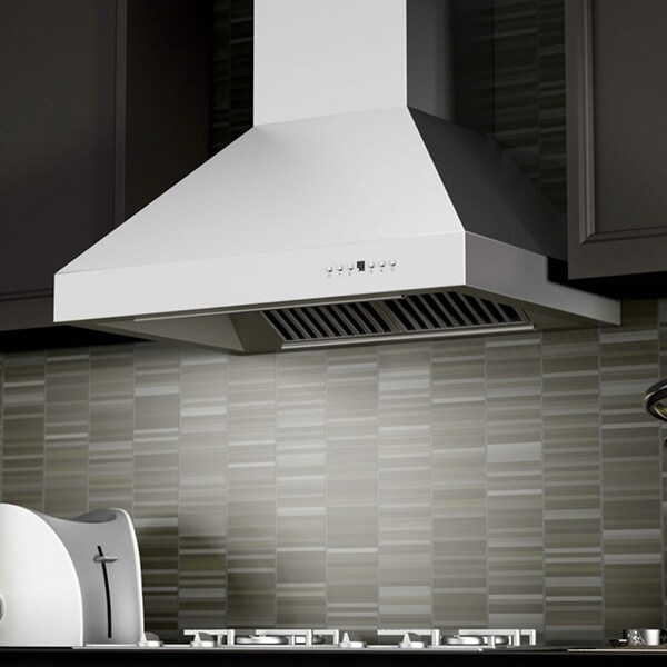 ZLINE Convertible Vent Wall Mount Range Hood in Stainless Steel (667)