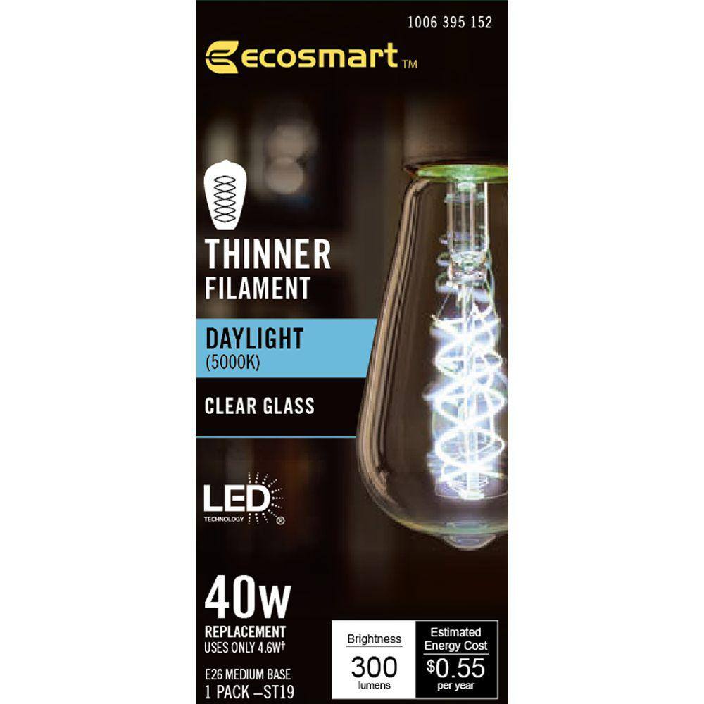 EcoSmart 40-Watt Equivalent ST19 Dimmable Fine Bendy Filament LED Vintage Edison Light Bulb Daylight (1-Pack) ST19C5E26850S