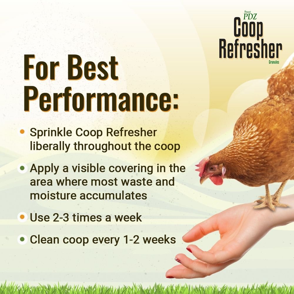 Sweet PDZ Chicken Coop Refresher