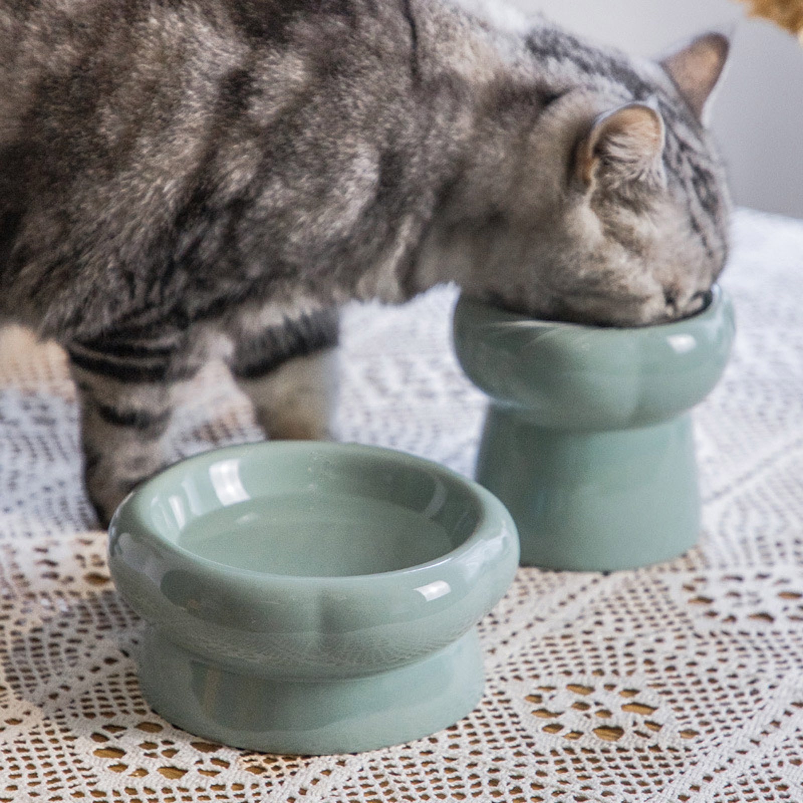 BToBackyard Ceramic Cat Bowl Raised Cat Bowls Elevated Cat Food Bowls Water Bowl with Stand Ceramic Cat Feeding Bowls Pet Food & Water Bowls