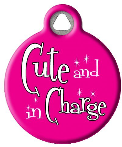 Dog Tag Art Cute and in Charge Personalized Dog and Cat ID Tag