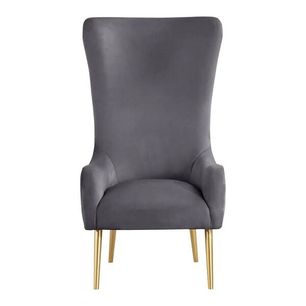 Best Master Furniture Kireth Velvet Upholstered High Back Accent Chair with Gold Legs