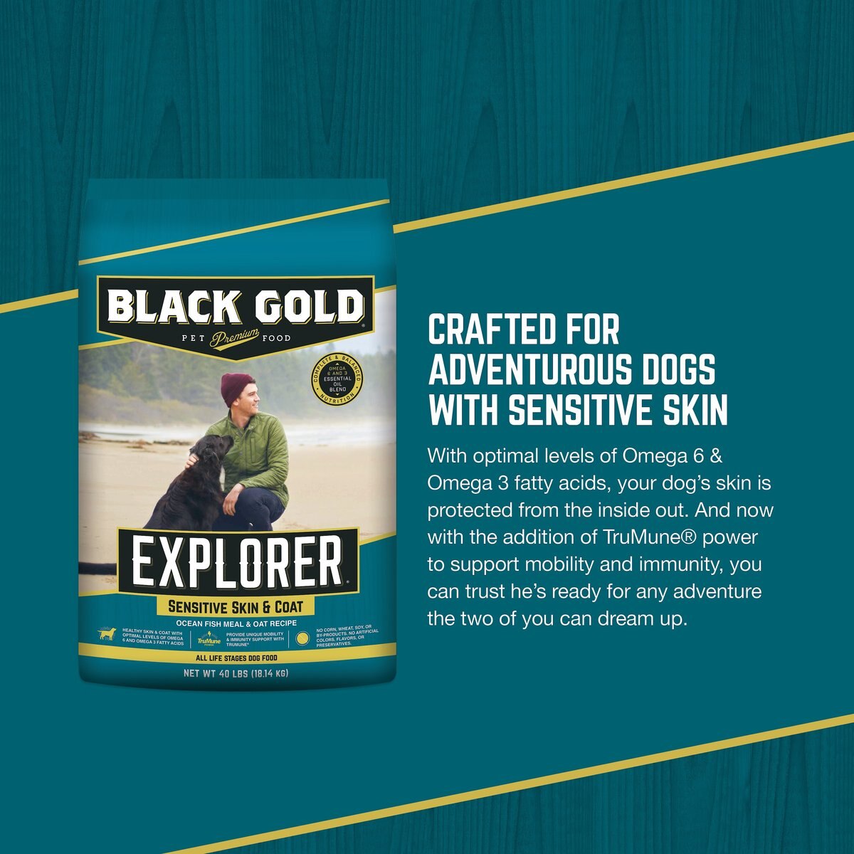 Black Gold Explorer Sensitive Skin and Coat Ocean Fish Meal and Oat Recipe Dry Dog Food， 40-lb bag