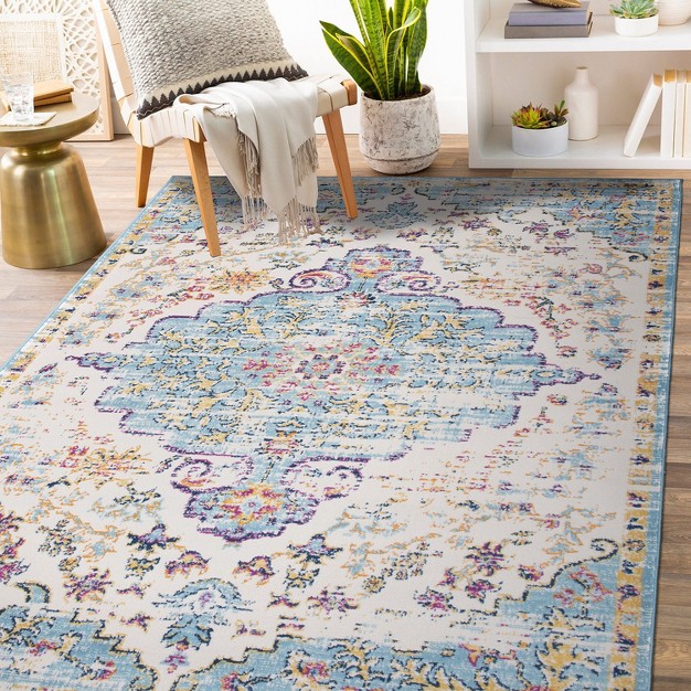 World Rug Gallery Traditional Vintage Bohemian Area Rug