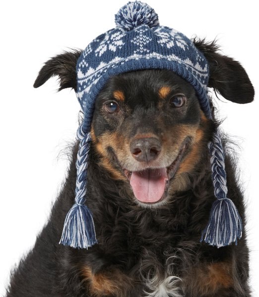 Frisco Fair Isle Dog and Cat Knitted Hat， Navy