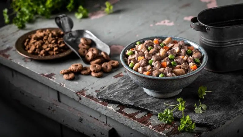 Fromm Frommbalaya Lamb， Vegetable， and Rice Stew Canned Dog Food;