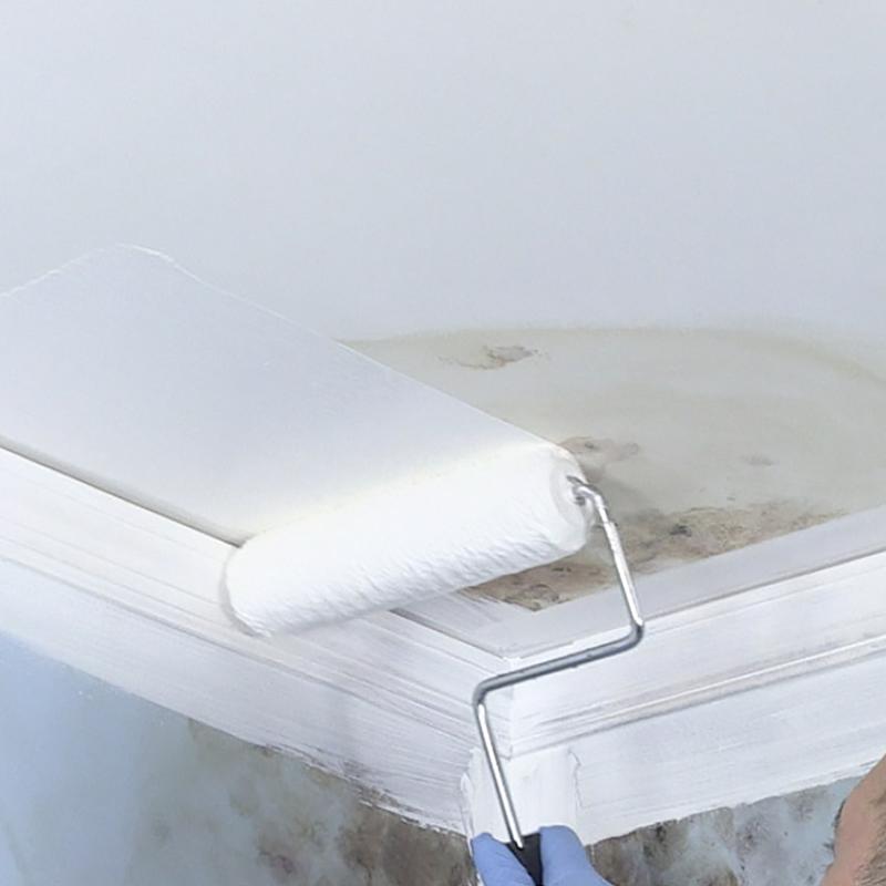 MOLD KILLING PRIMER 1GL