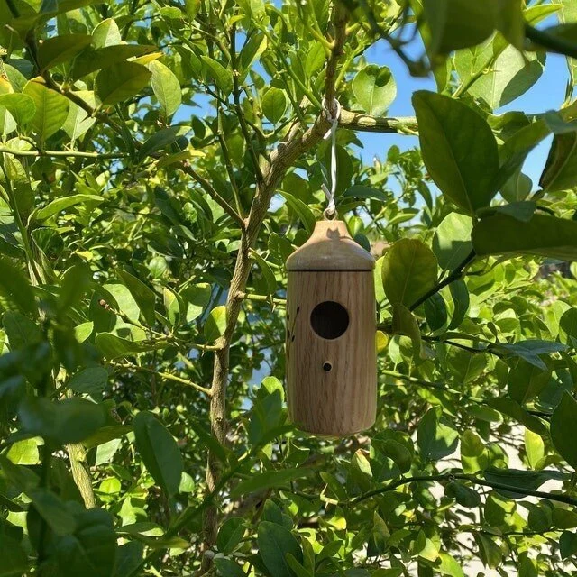 Sale 47% OFF💕Wooden Hummingbird House-Gift for Nature Lovers🔥🔥