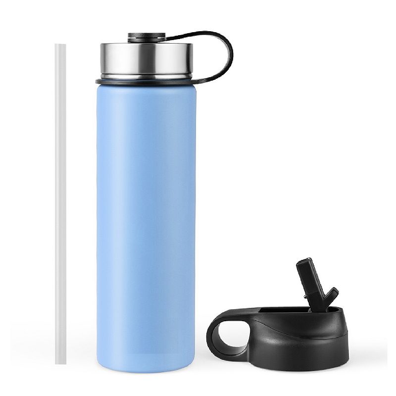 22 Oz Double-walled Insulated Stainless Steel Water Bottle with Straw Lid