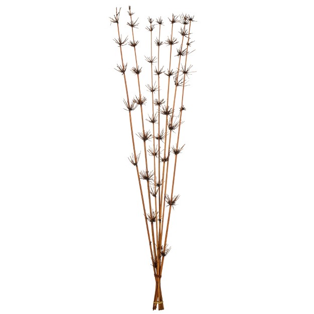 Star Bamboo Reed Stem Dried