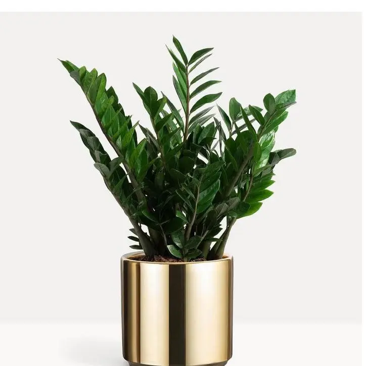 Home Decoration Factory Sales Metal Planter Home Indoor Outdoor Garden Usage Customized Size Metal Planter