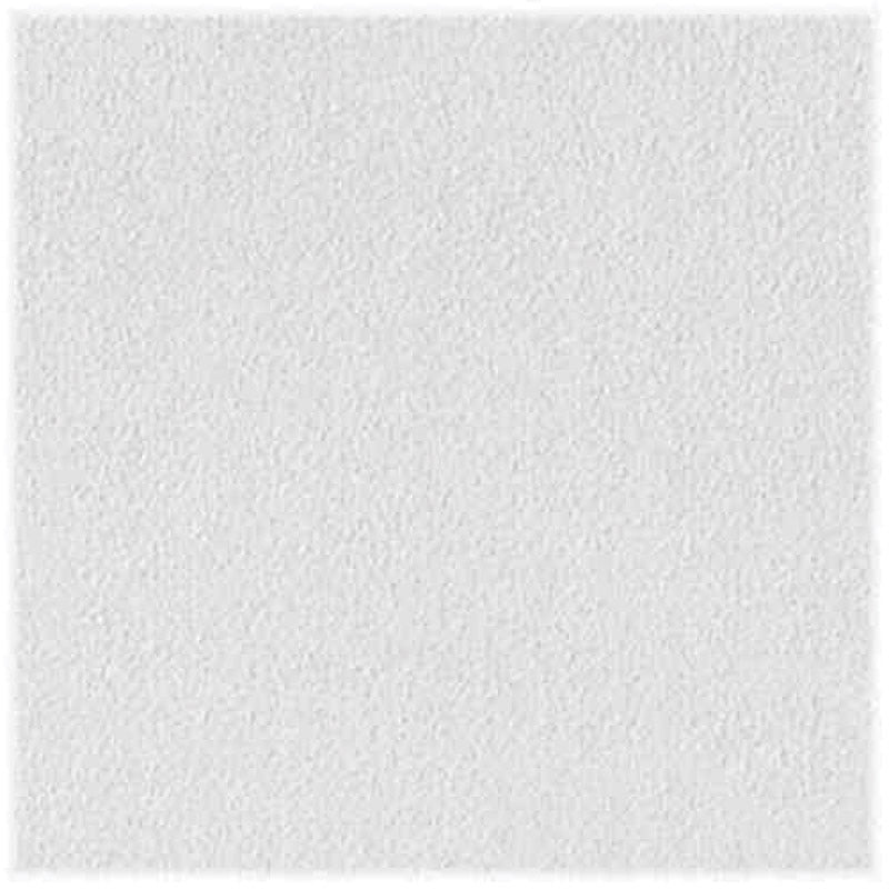 CEIL PNL SHEETROCK 2'X2'