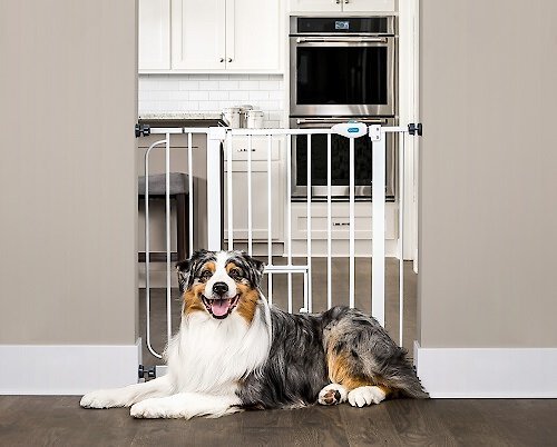 Carlson Pet Products Extra Wide Walk-Thru Gate with Pet Door