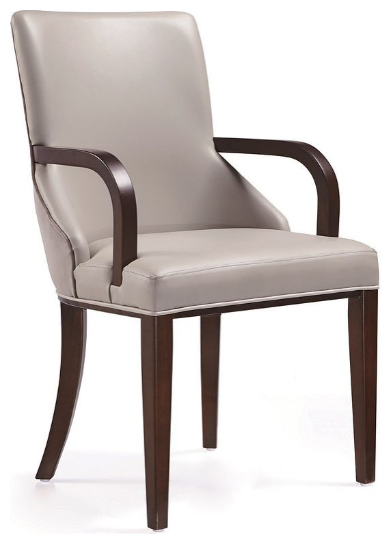 Shubert Faux Leather and Velvet Dining Armchair   Transitional   Dining Chairs   by Manhattan Comfort  Houzz