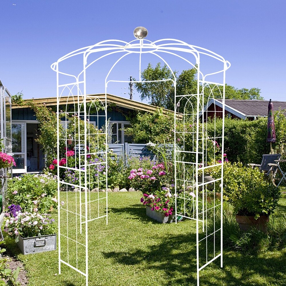 JASIWAY Iron Birdcage Shape Garden Arbors Gazebo  White