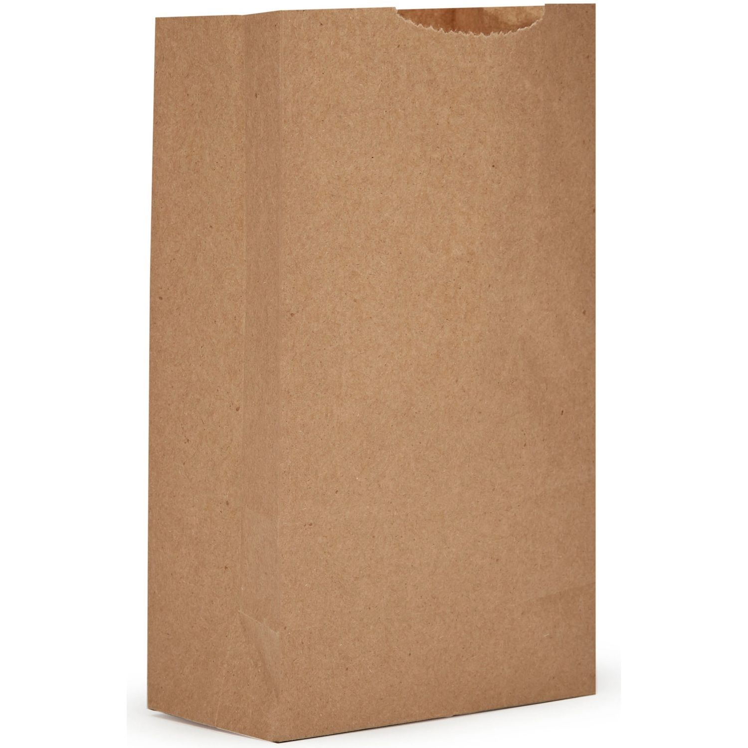 Kraft Grocery Bags by AJM Packaging Corporation AJMGB02NP5C