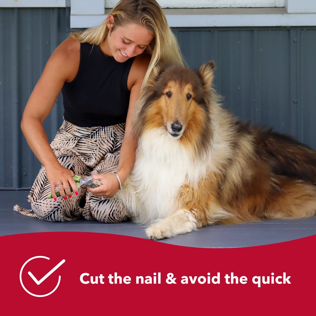 Safari Professional Nail Trimmer for Dogs