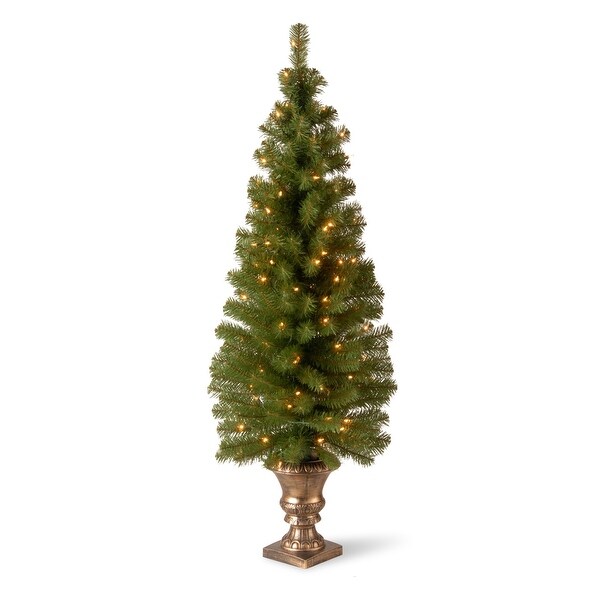 Prelit Artificial Christmas Tree For Entrances | Includes Prestrung White Lights and Stand | Montclair Spruce，5 ft