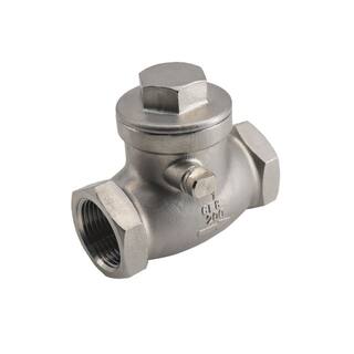 Guardian 1 in. 316 Stainless Steel 200 PSI Swing Check Valve 06H041N01010