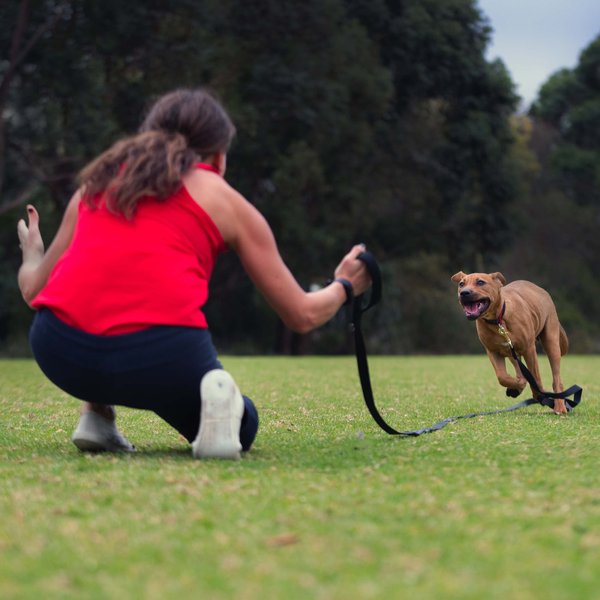 Canny Recall Extra Long Dog Training Leash