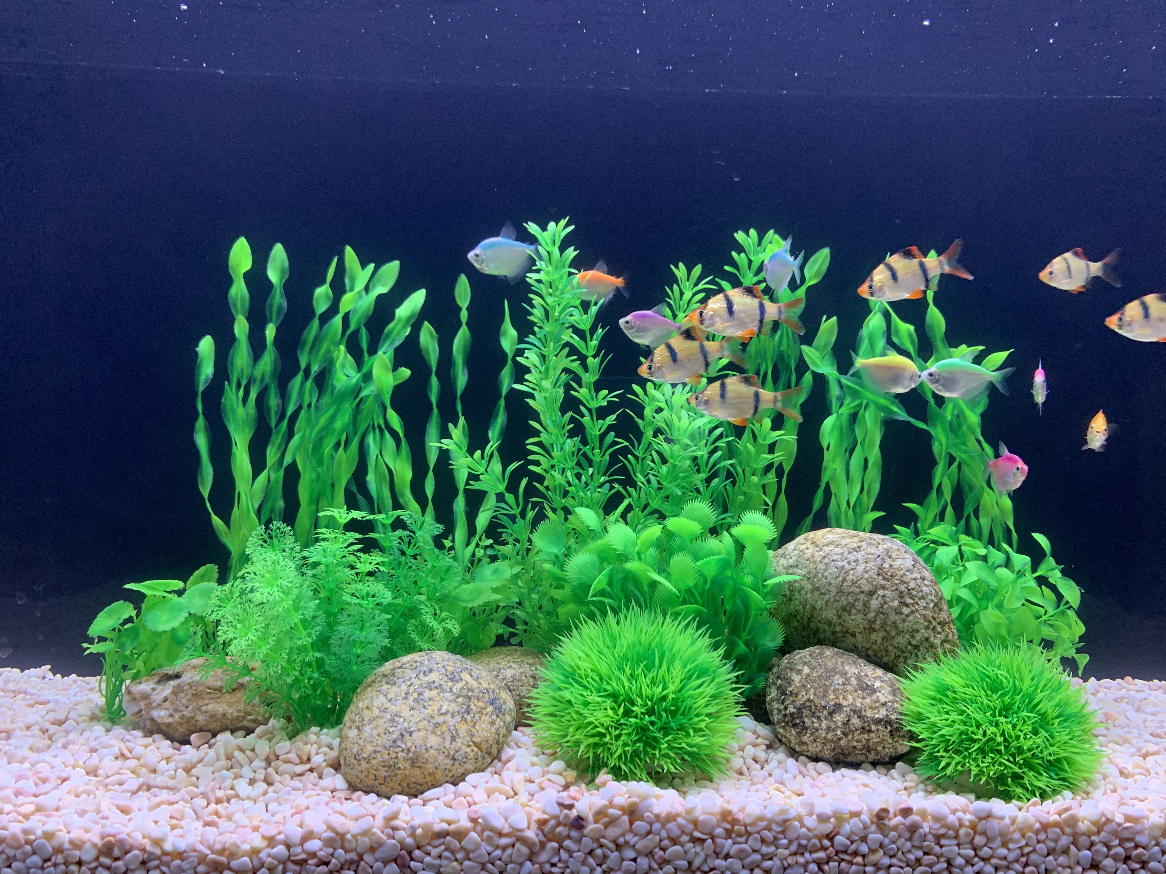 BEGONDIS 18 Pcs Artificial Green Water Plants， Fish Tank Aquarium Decorations， Made of Soft Plastic