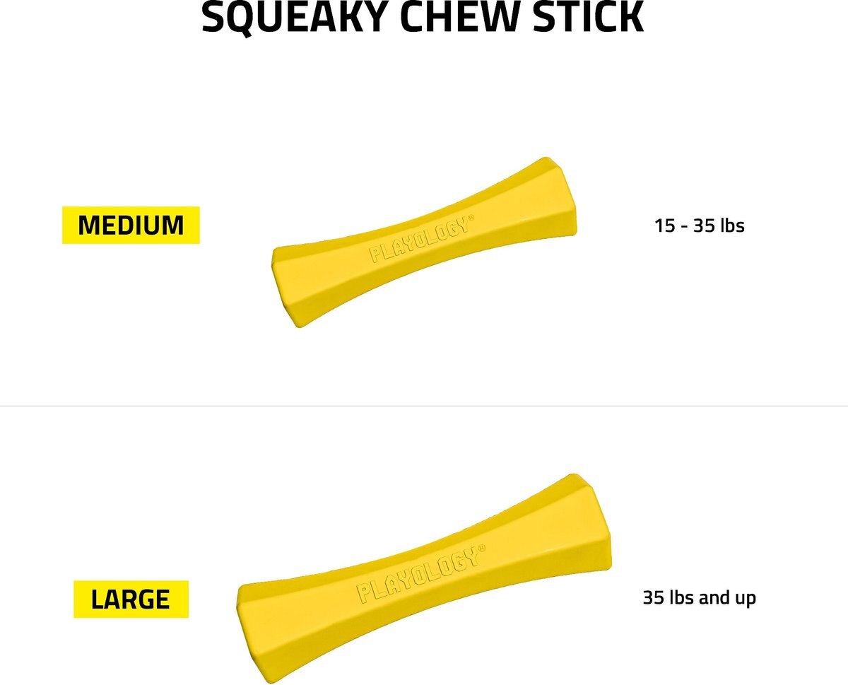 Playology Scented Squeaky Chew Stick Dog Toy