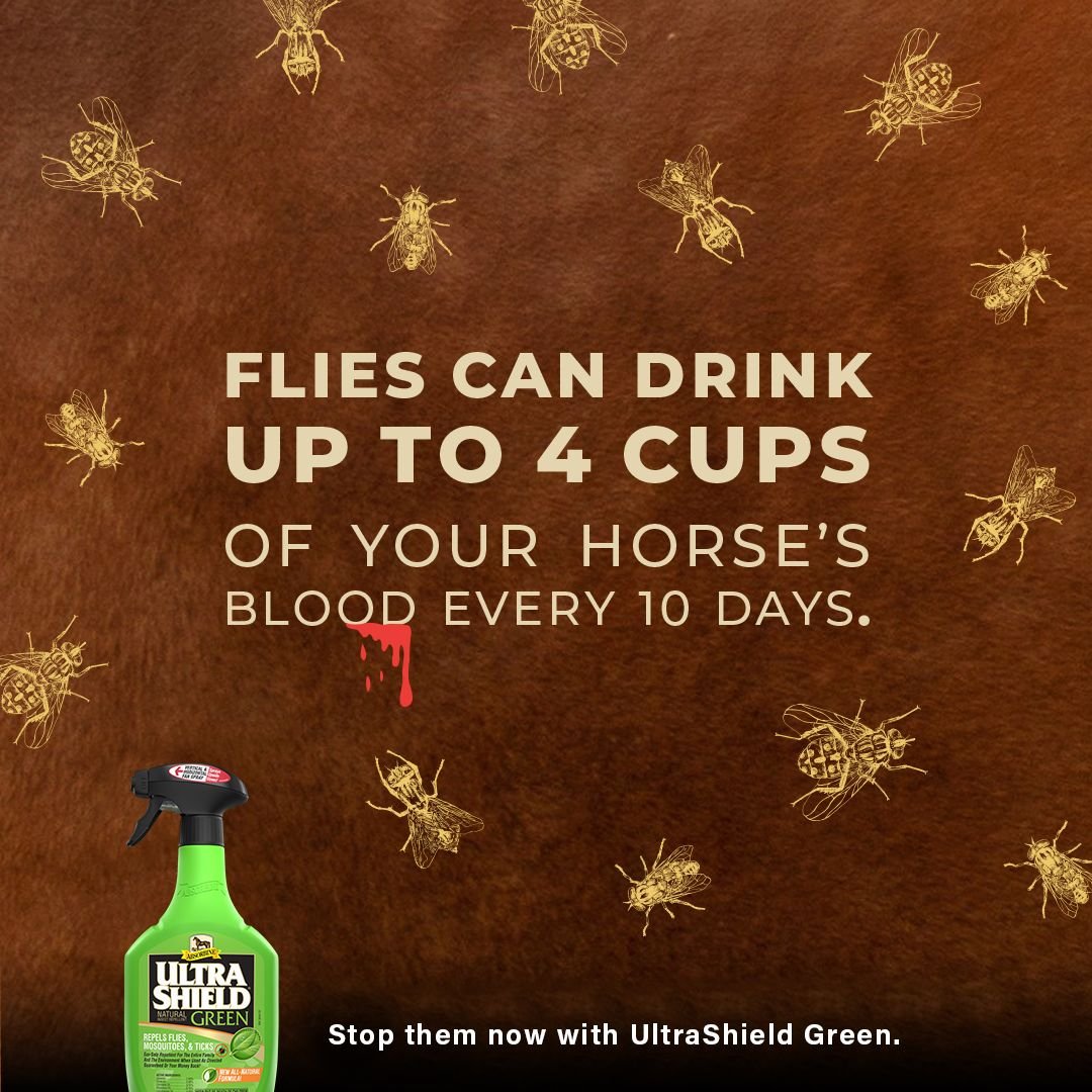 Absorbine Ultrashield Green Fly Repellent Horse Spray