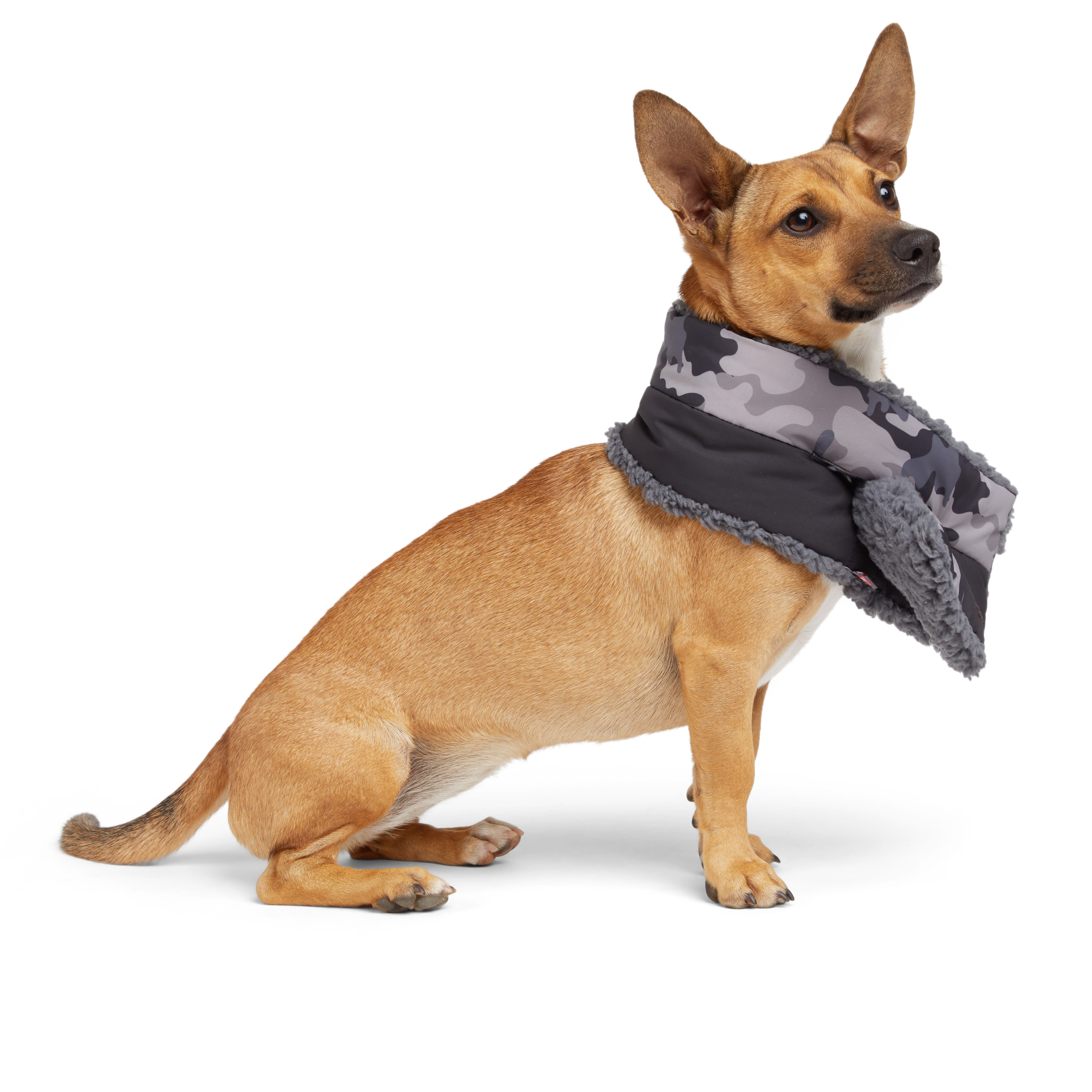 Reddy Primaloft Dog Scarf， X-Small/Small