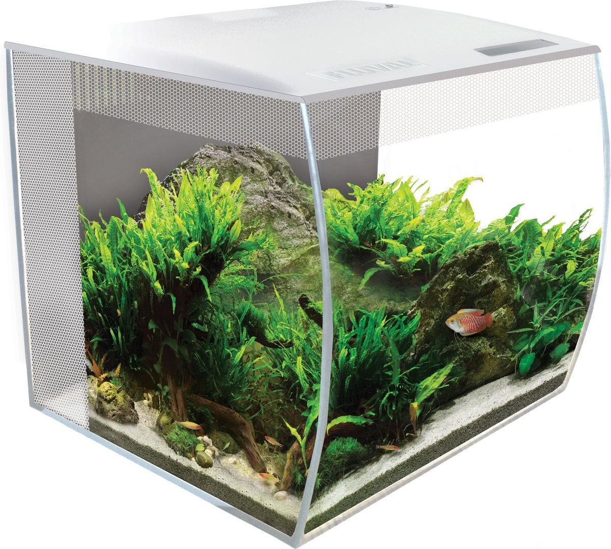 Fluval Flex Aquarium Kit， White