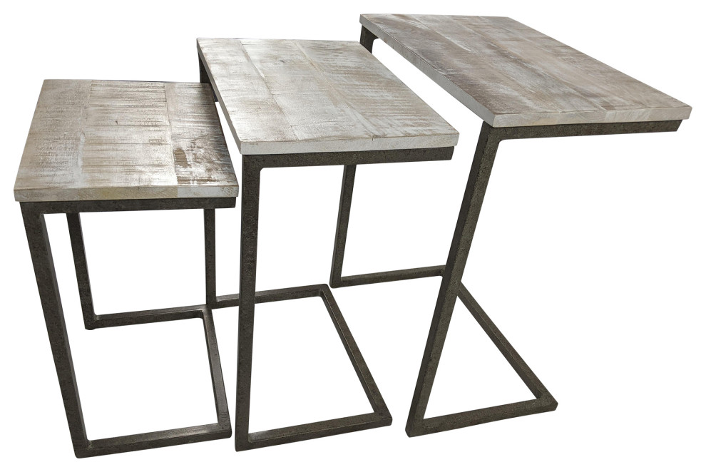 Easton Nesting Table Set   Industrial   Coffee Table Sets   by CAROLINA CLASSICS  Houzz