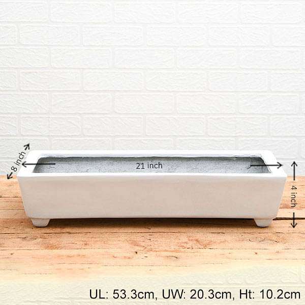 21 inch (53 cm) SML-005 Rectangle Fiberglass Planter (White)