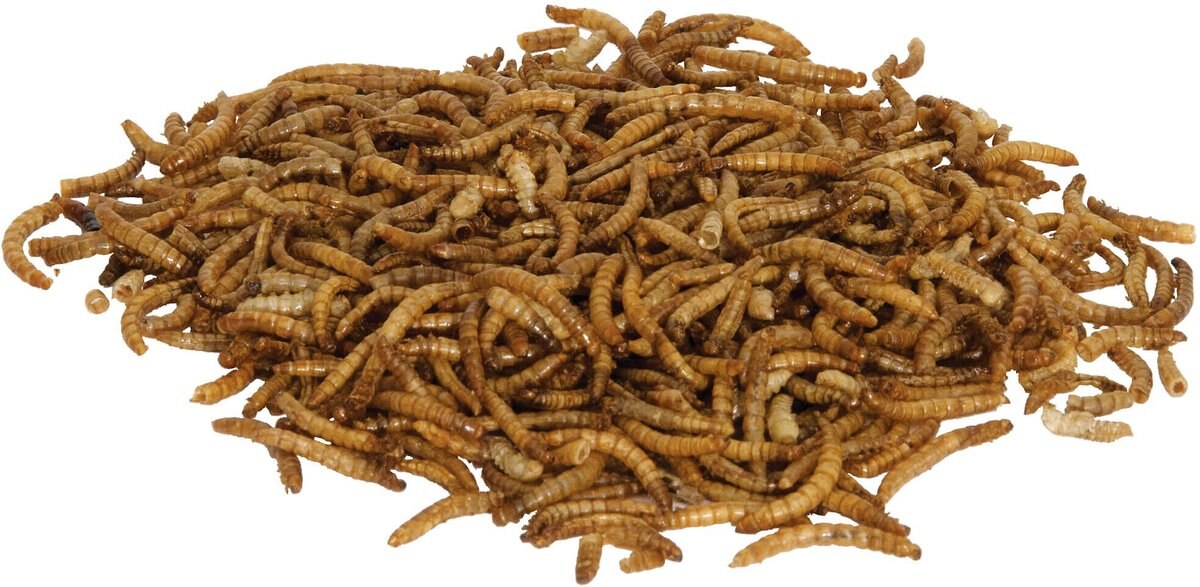 Zilla Reptile Munchies Mealworms Lizard Food