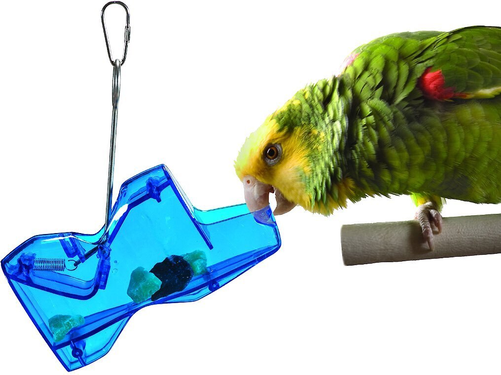 Caitec Featherland Paradise See Saw Bird Toy