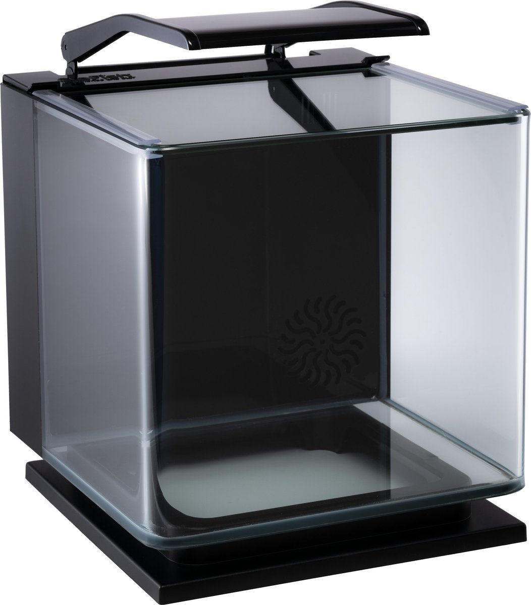 GloFish Betta Fish Aquarium Kit， 3-gal