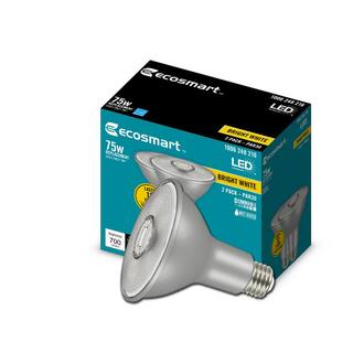 EcoSmart 75-Watt Equivalent PAR30 Dimmable Flood LED Light Bulb Bright White (2-Pack) A20PR3075WESD32