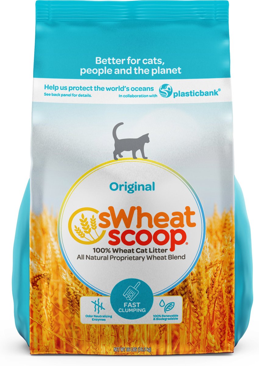 sWheat Scoop Fast Clumping Natural Original Cat Litter