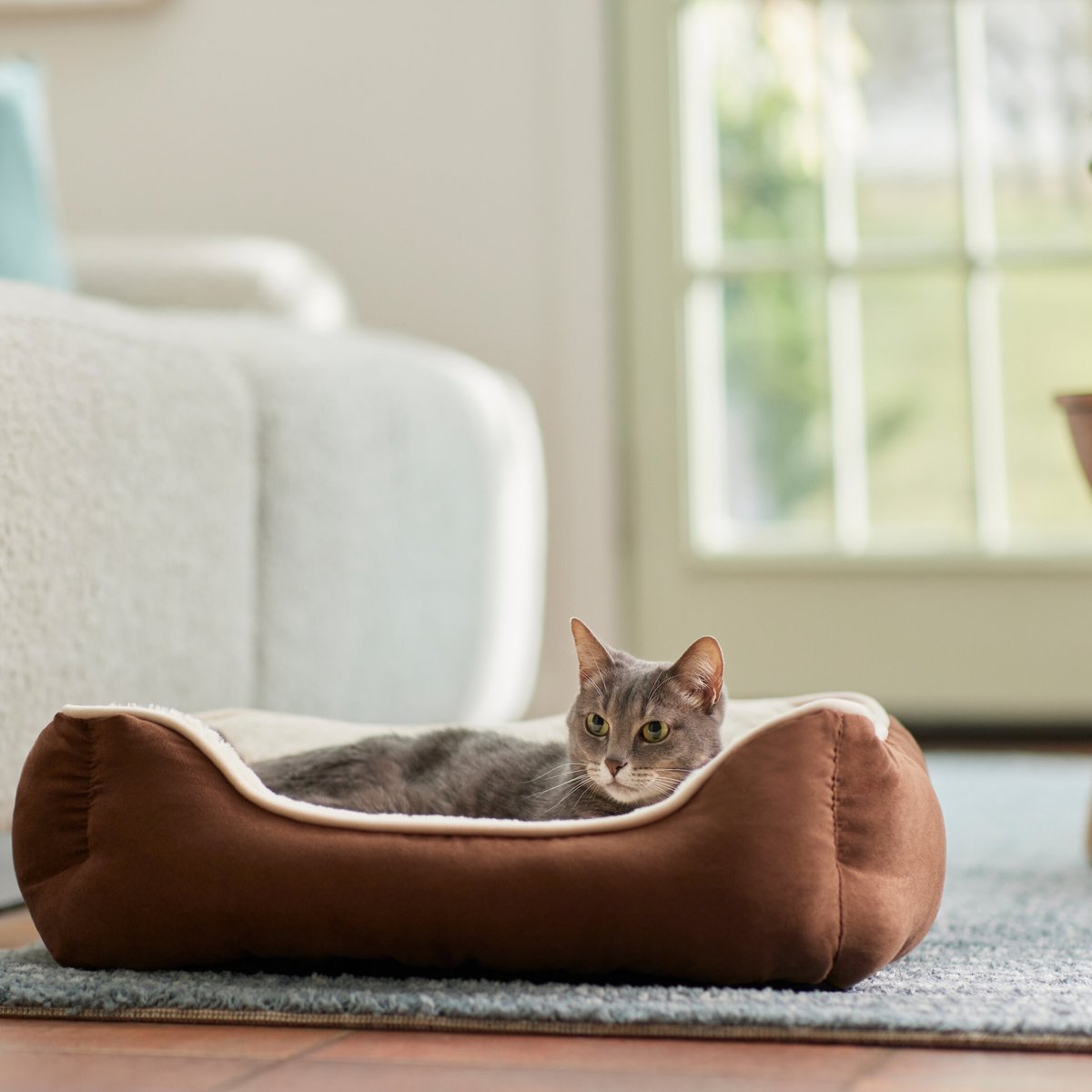 Frisco Rectangular Bolster Cat and Dog Bed