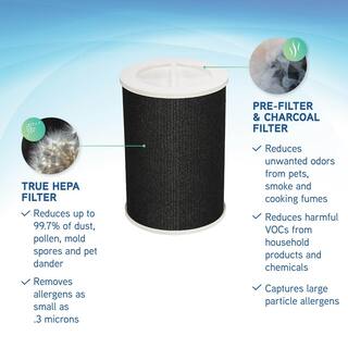 GermGuardian Air Purifier HEPA Replacement Filter FLT5800