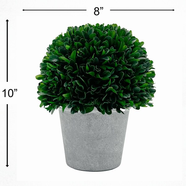 Preserved Decorative Boxwood 10 Inch Ball In Pot