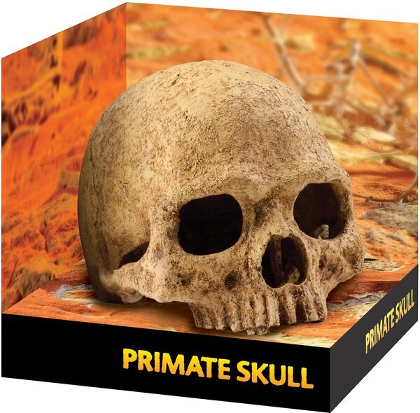 Exo Terra Primate Skull Terrarium Hiding Place