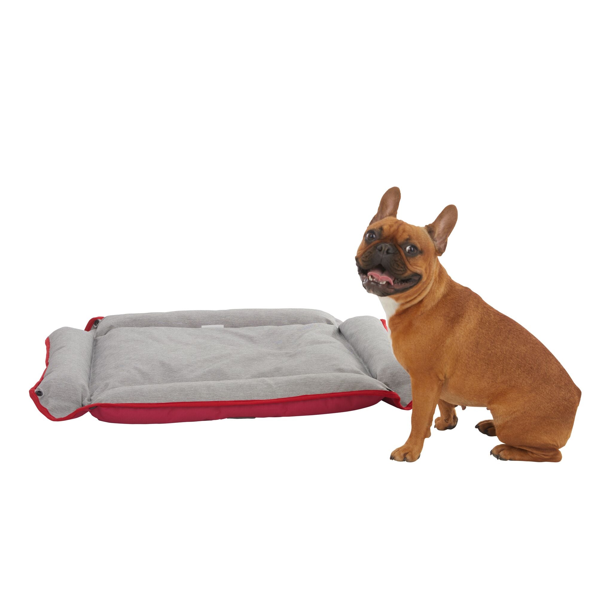 Four Way Pet Bed for Large Dogs 28X24X3 In, Red