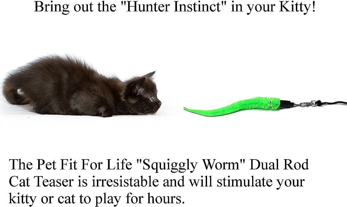 Pet Fit For Life 5 Piece Squiggly Worm Wand Cat Toy