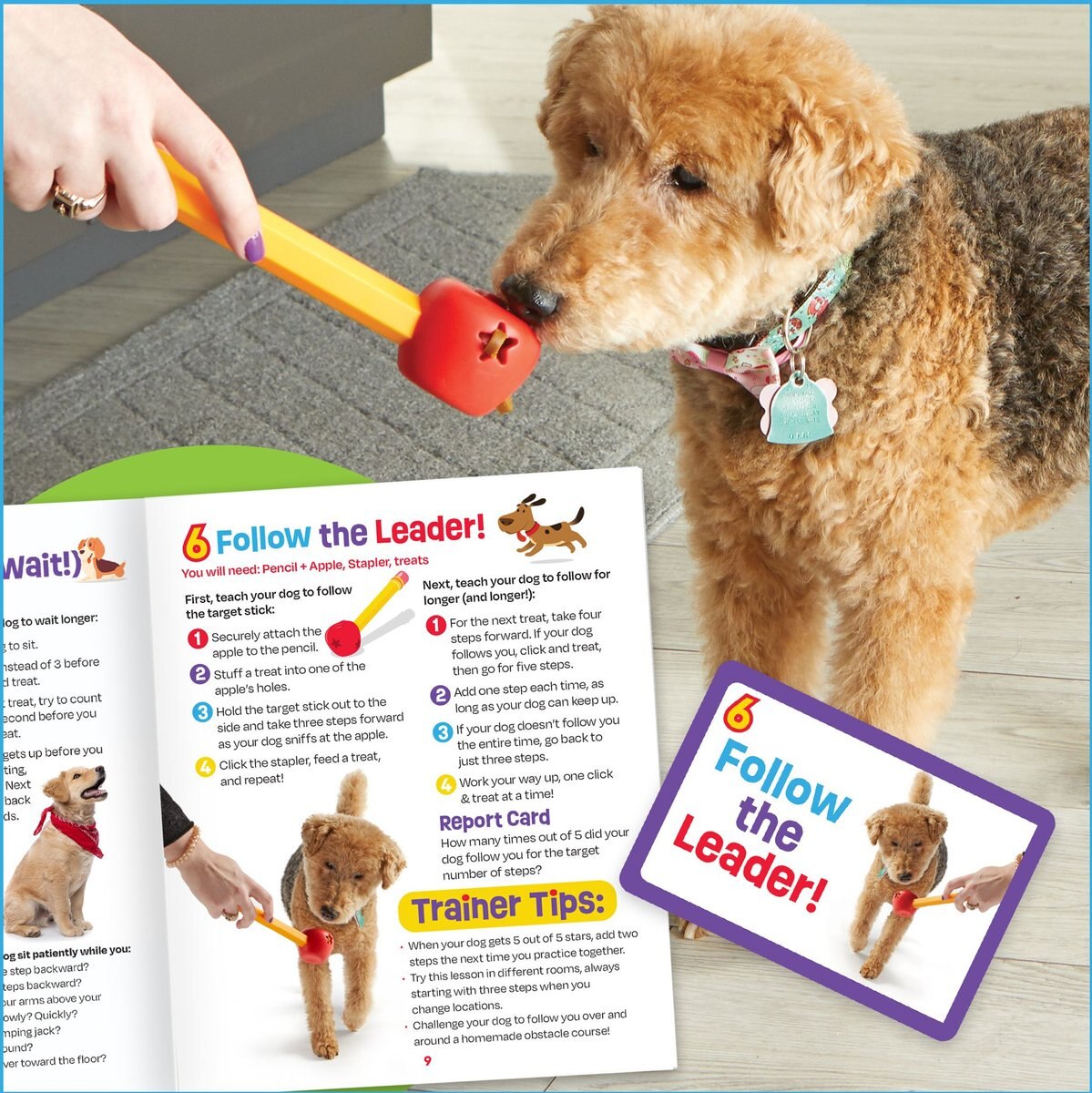 Brightkins Pooch School! Training Set Dog Toys